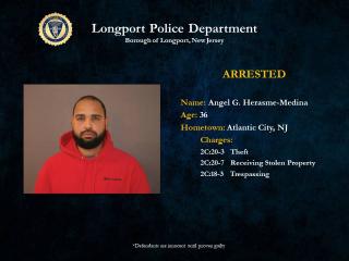 Theft arrest